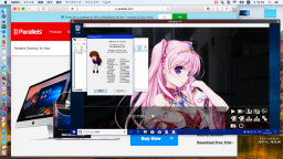 [Picture in Pictureモード]