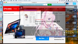 [Picture in Pictureモード(非アクティブ)]