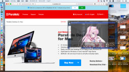 [Picture in Pictureモード2]