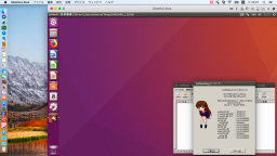 [Ubuntu 16.04ゲスト上のLHMelt]