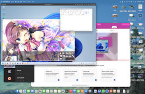 [Picture in Pictureモード]
