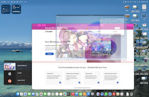 [Picture in Pictureモード(非アクティブ)]