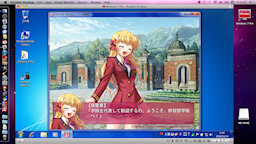 [FORTUNE ARTERIAL on Parallels Desktop 6]