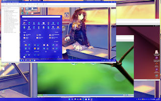 [Windows 11/XP/Ubuntu 24.04 on VMware 25H2