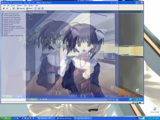 [SXGA+ 画面での VMware 4.0]