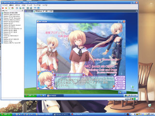 [Direct3D on VMware 5.0]