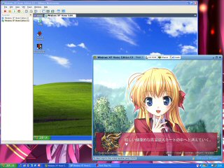 [VMware Player 1.0.9]