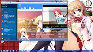 [VMware Player 5.0]