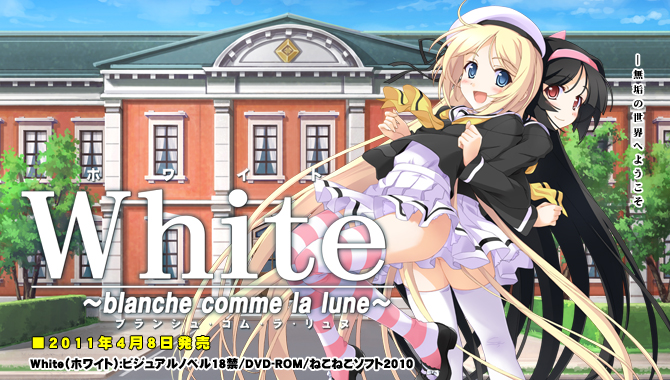 [White]