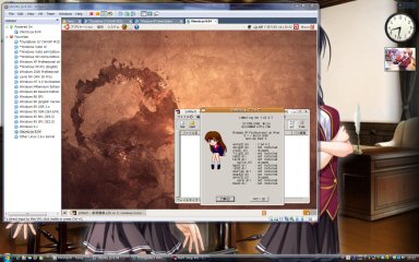 [Ubuntu 8.10 Desktop]