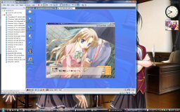 [Canvas DVD on VMware 6.5]