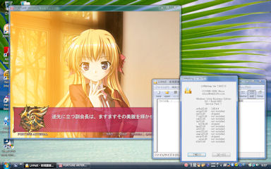 [Windows Vista Business on dynabook NXW/76HPW]
