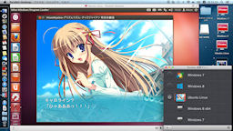 [Ubuntu 12.04ゲスト上の『PrismRhythm』]