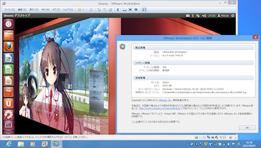 [Ubuntu 12.04 on VMware 8.0