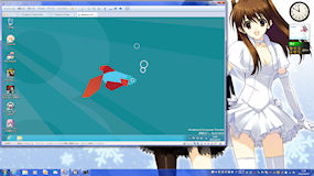 [Windows 8 CPデスクトップ画面on VMware 8.0]