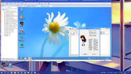 [Windows 8 Pro (x64)ゲスト]