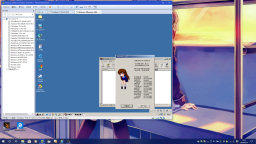 [Windows Millennium Editionゲスト]