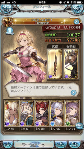 [シュヴァマグ1ターンキル編成のプロフィール]