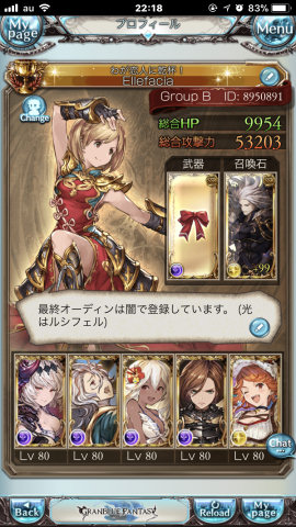 [テストで使った対ゼノ・コロウ編成のプロフィール]