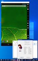 [Windows 10 Home 1909 on WN803]