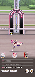 [第1レースのゴール]