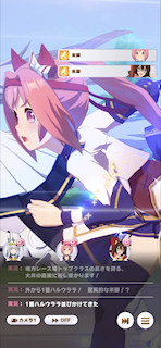 [第1レースの最終直線2]