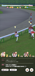 [第3レースの最終直線]
