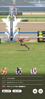 [第1レースのゴール]