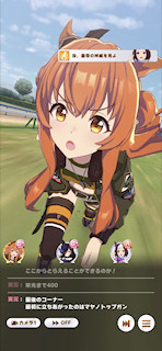 [第1レースの最終直線5]