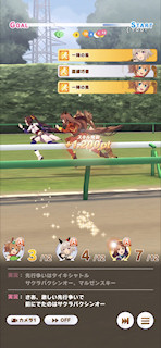 [第4レース，最初の直線3]