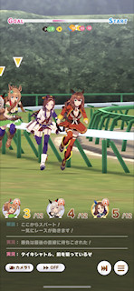 [第4レースの最終直線]