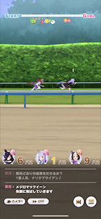 [第2レース，最初の直線]