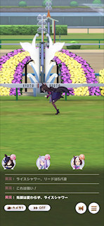 [第2レースのゴール]