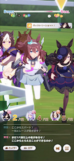 [第2レースの最終直線]