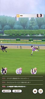 [第2レースの最終直線4]