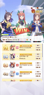 [第3レースの着順]