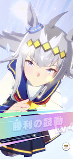 [第2レースの最終直線2]
