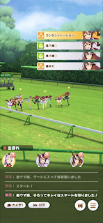 [第4レースのスタート]