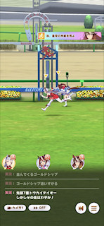 [第4レースのゴール]