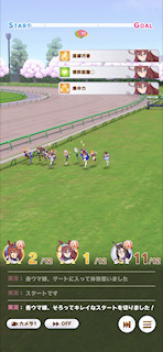 [第5レース，最初の直線]