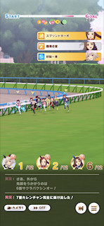 [第2レースの最終直線3]