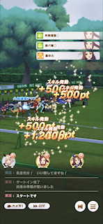 [第2レース，最初の直線]
