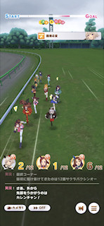 [第2レースの最終直線]