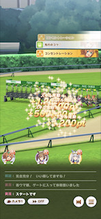 [第3レースのスタート]