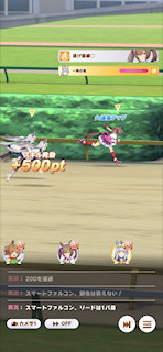 [第3レースのゴール前]