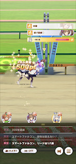 [第3レースのゴール]