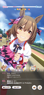[第3レースの最終直線2]