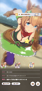 [第3レースの最終直線6]