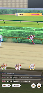 [第3レースの最終直線11]