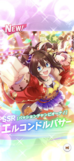 [エルコンドルパサー(パワー)]